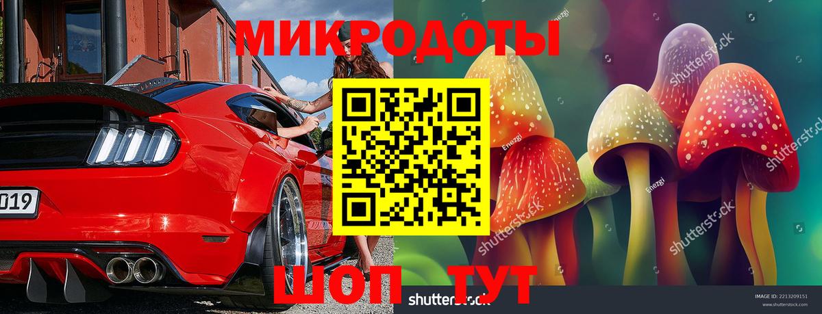 Псилоцибиновые грибы Psilocybine cubensis  Псилоцибиновые грибы мицелий  Гатчина  Вход с VPN 