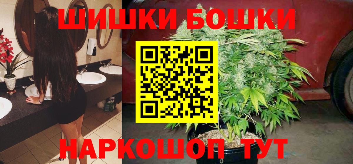 Каннабис планчик Гатчина